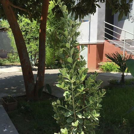 Green House تبليسي المظهر الخارجي الصورة
