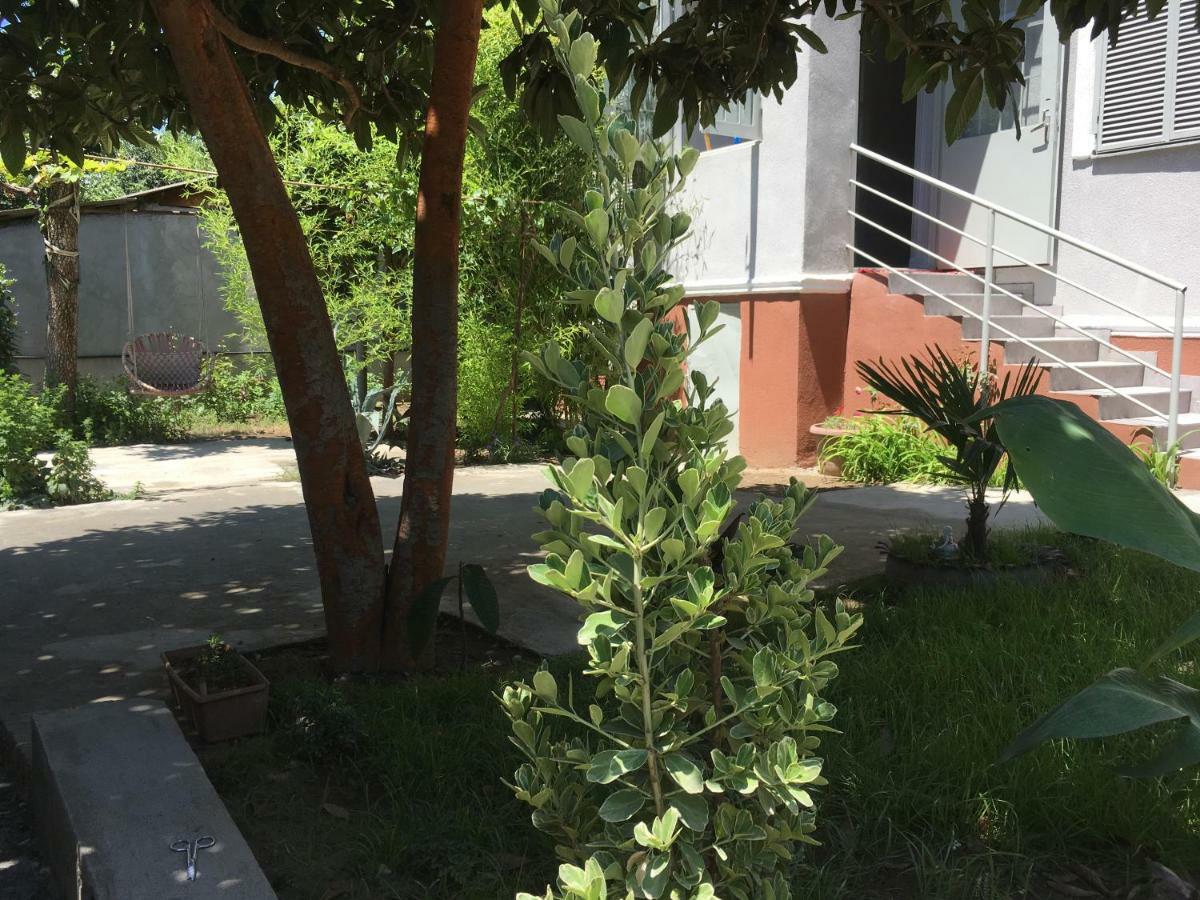 Green House تبليسي المظهر الخارجي الصورة
