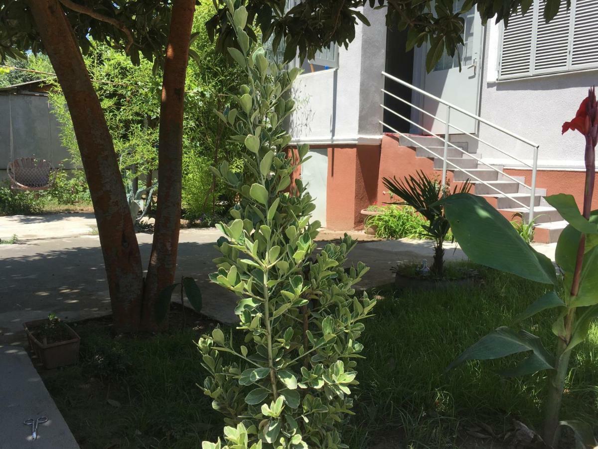 Green House تبليسي المظهر الخارجي الصورة